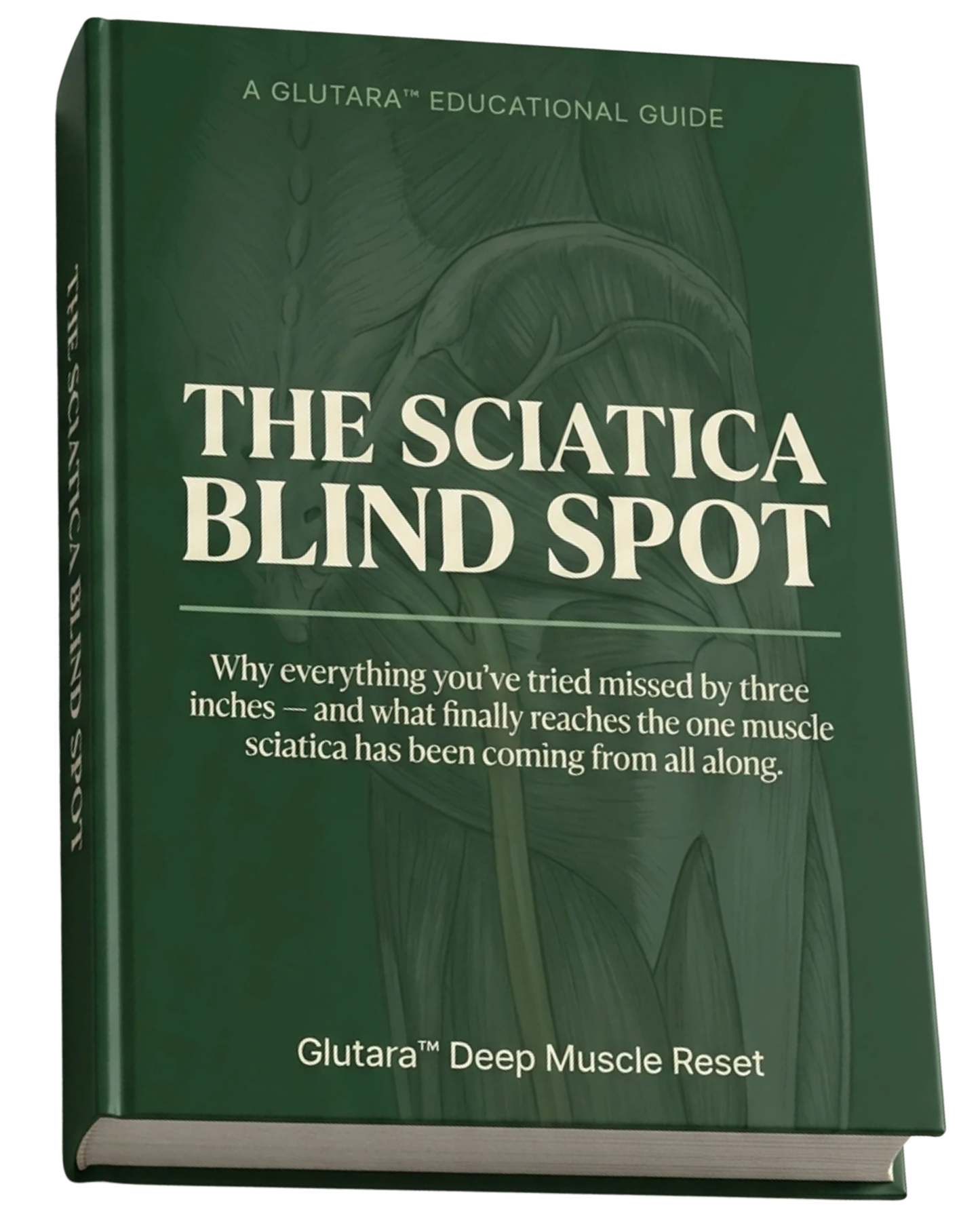 The Sciatica Blind Spot