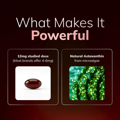 Rovina Astaxanthin - 12mg Softgels